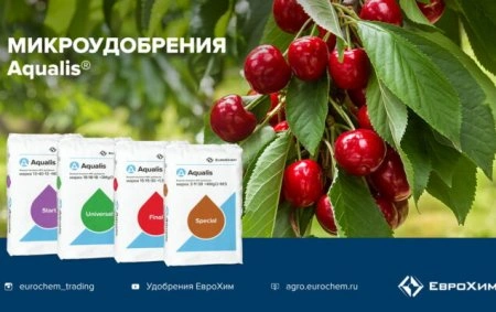 ЕвроХим примет участие в вебинаре «Технологии выращивания косточковых в России и мире»