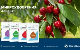 ЕвроХим примет участие в вебинаре «Технологии выращивания косточковых в России и мире»