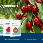 ЕвроХим примет участие в вебинаре «Технологии выращивания косточковых в России и мире»