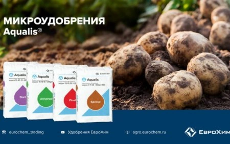 ЕвроХим объявляет «Картофельную онлайн-неделю»