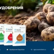 ЕвроХим объявляет «Картофельную онлайн-неделю»