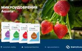 ЕвроХим примет участие в вебинаре «Особенности питания ягодных культур»