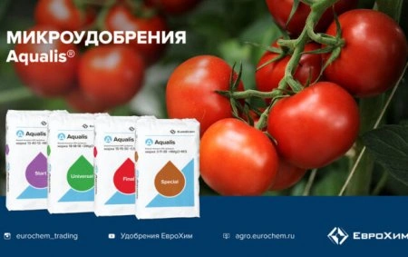 ЕвроХим принял участие в вебинаре «Особенности питания овощных культур»