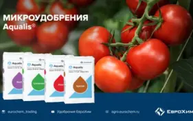 ЕвроХим принял участие в вебинаре «Особенности питания овощных культур»