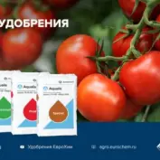 ЕвроХим принял участие в вебинаре «Особенности питания овощных культур»