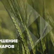 Завершение вебинаров 2025