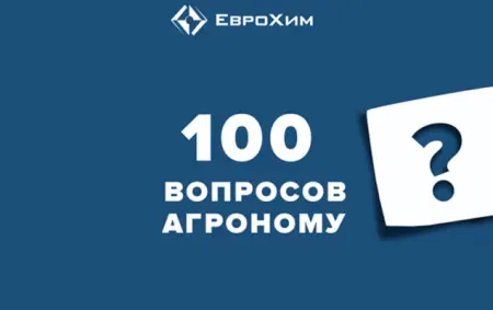 Новый формат тематических вебинаров «100 вопросов агроному»