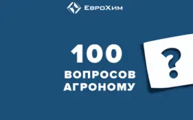 Новый формат тематических вебинаров «100 вопросов агроному»