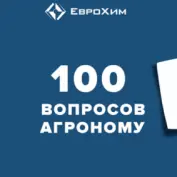 Новый формат тематических вебинаров «100 вопросов агроному»
