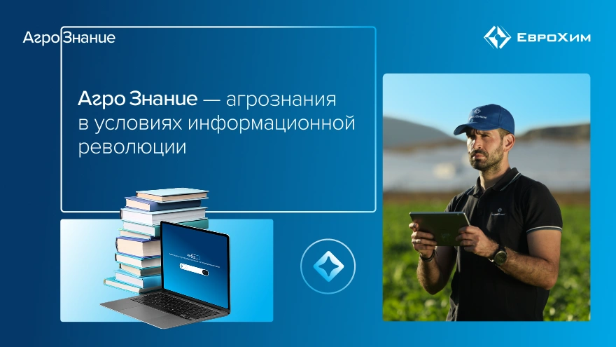 Вебинар  