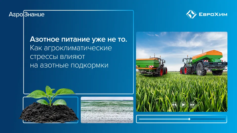 Вебинар  