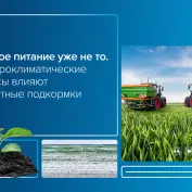 Вебинар  