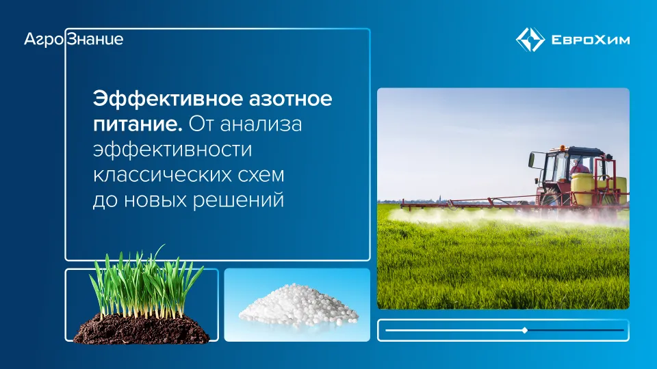 Вебинар 
