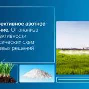 Вебинар 