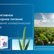 Вебинар 