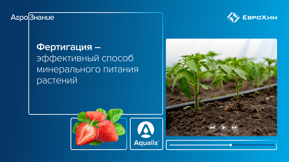 Вебинар 