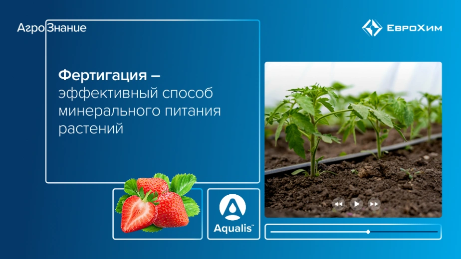 Вебинар 