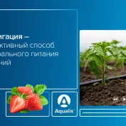 Вебинар 