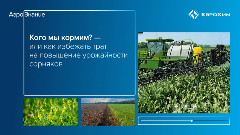Вебинар 