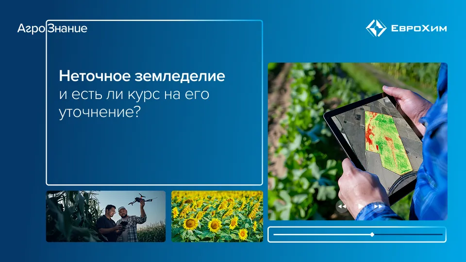 Вебинар 