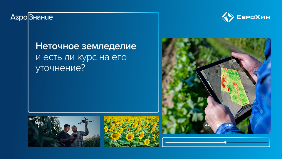 Вебинар 