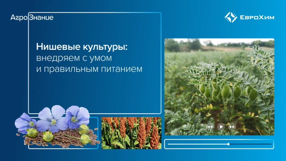 Вебинар 