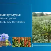 Вебинар 