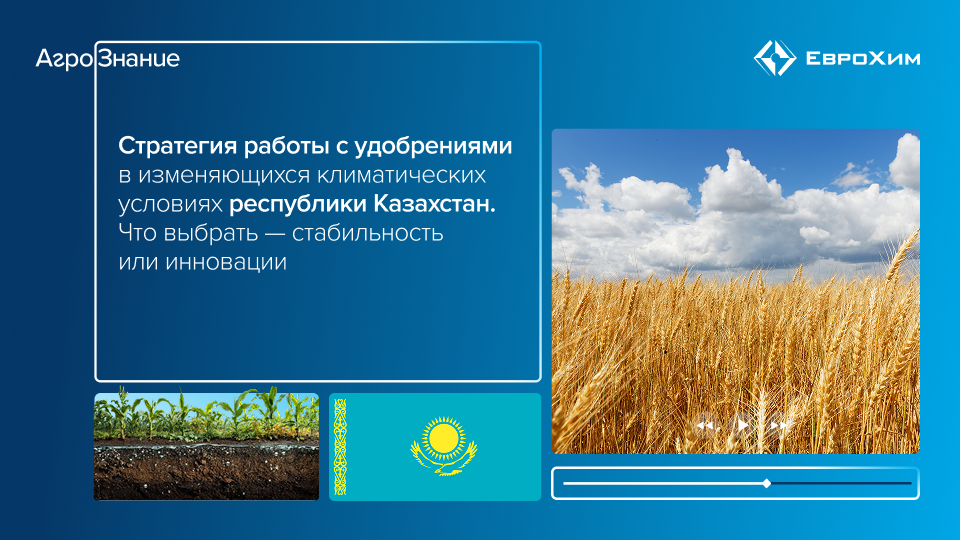 Вебинар 