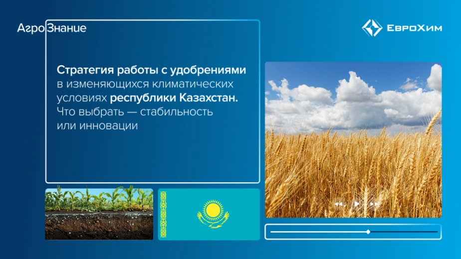 Вебинар 
