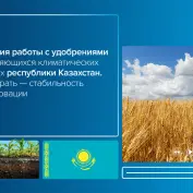 Вебинар 