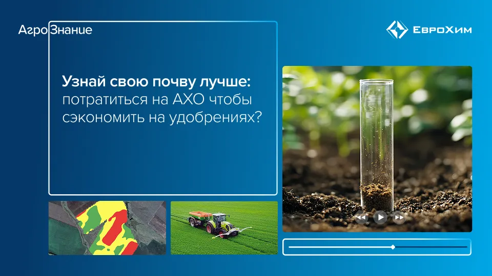 Вебинар 