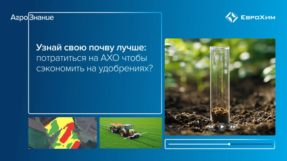 Вебинар 