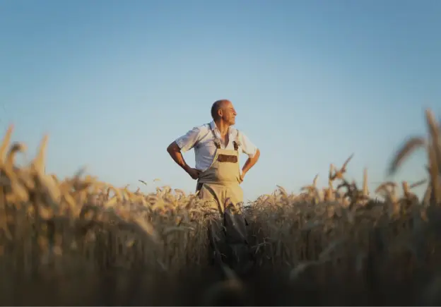 Как увеличить урожайность пшеницы: опыт агрохозяйства из Центральной России