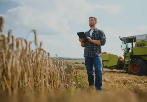 Реальные результаты подкормок на ферме