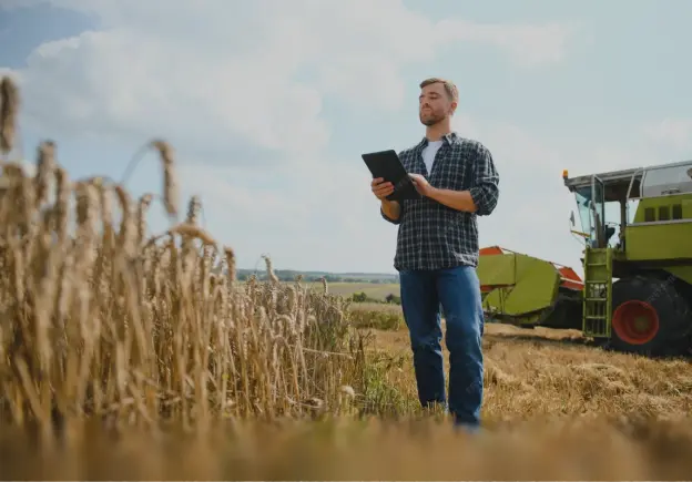 Реальные результаты подкормок на ферме