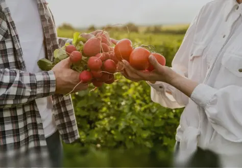 Как увеличить урожайность пшеницы: опыт агрохозяйства из Центральной России