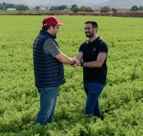 Подготовка отчета и индивидуального плана питания