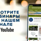 Мы выложили все записи вебинаров на YouTube