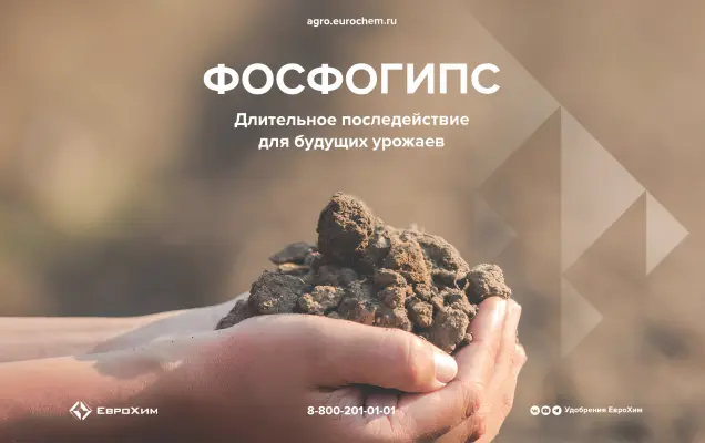 Фосфогипс — мелиорант и почвоулучшитель