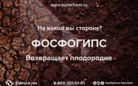 Что умеет фосфогипс?