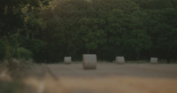 Как уход за урожаем влияет на показатели роста