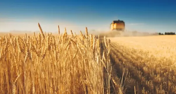 Как связаны парниковые газы и объем сельхоз производства?