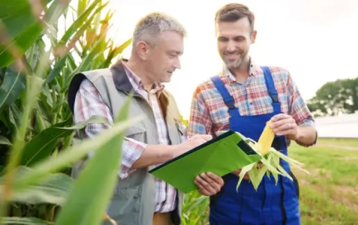 Удобрения с повышенной эффективностью — умное решение для растущего спроса