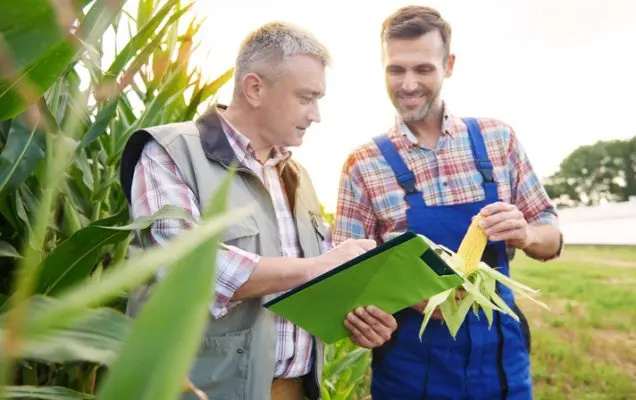 Удобрения с повышенной эффективностью — умное решение для растущего спроса