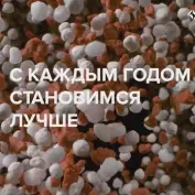 Итоги NPS исследования 2023
