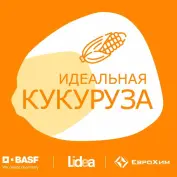 Совместный проект с LIDEA и BASF «Идеальная кукуруза»