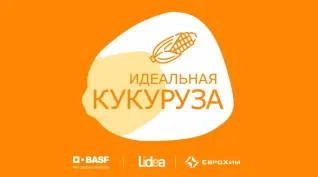 Совместный проект с LIDEA и BASF «Идеальная кукуруза»