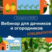 Вебинар для дачников и огородников. СПЕЦВЫПУСК!