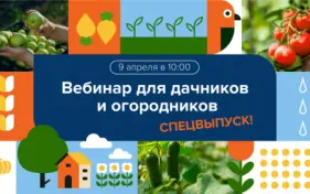 Бонусный вебинар для дачников и огородников