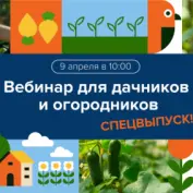 Бонусный вебинар для дачников и огородников